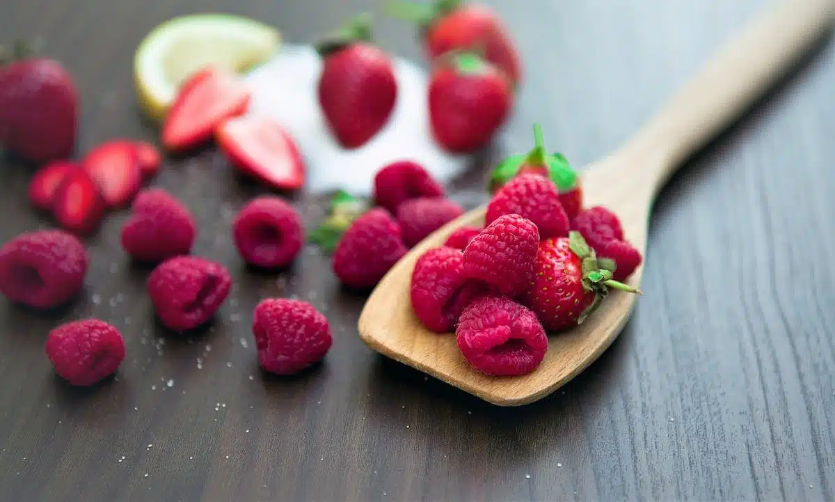 métabolisme  nutrition