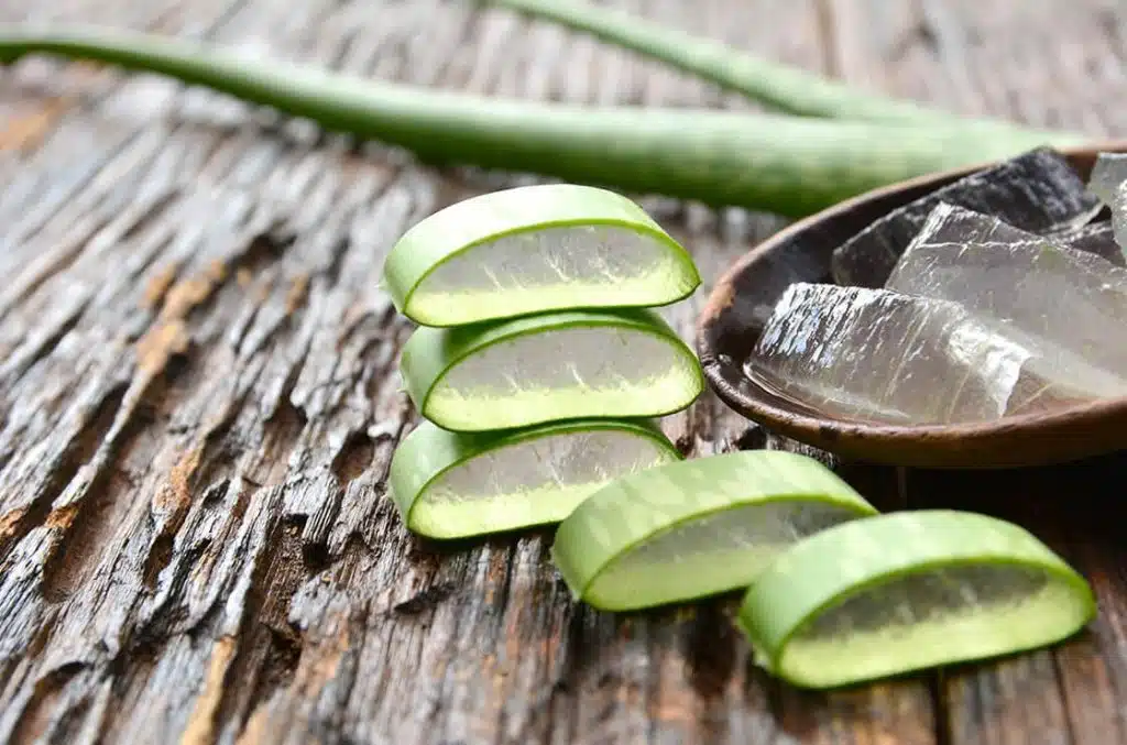 Aloe vera cheveux un danger potentiel 1