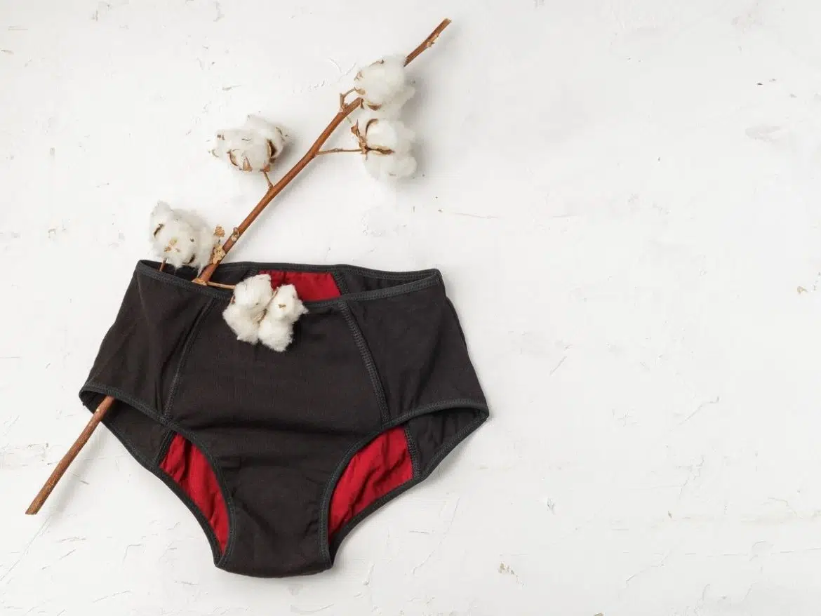 culottes menstruelles