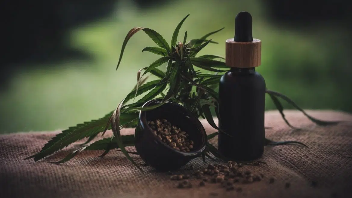 Pourquoi utiliser une huile de CBD de qualité ?