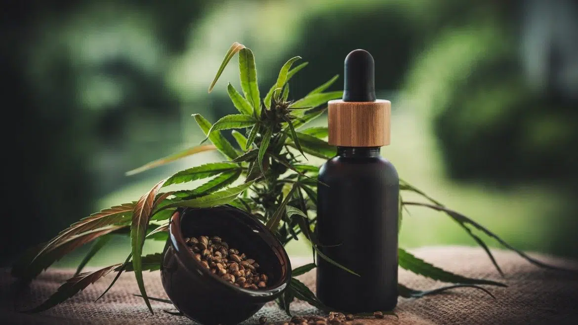 Le CBD : Tout savoir sur les vertus du cannabidiol